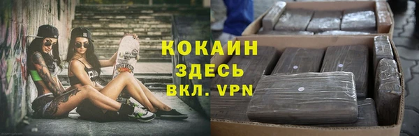 spice Алексин