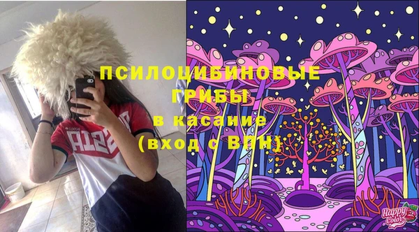дмт Алексеевка