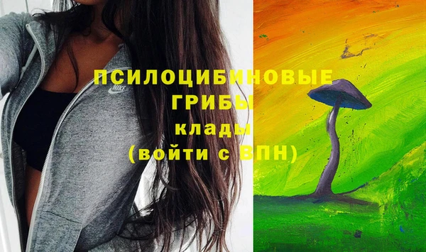spice Алексин