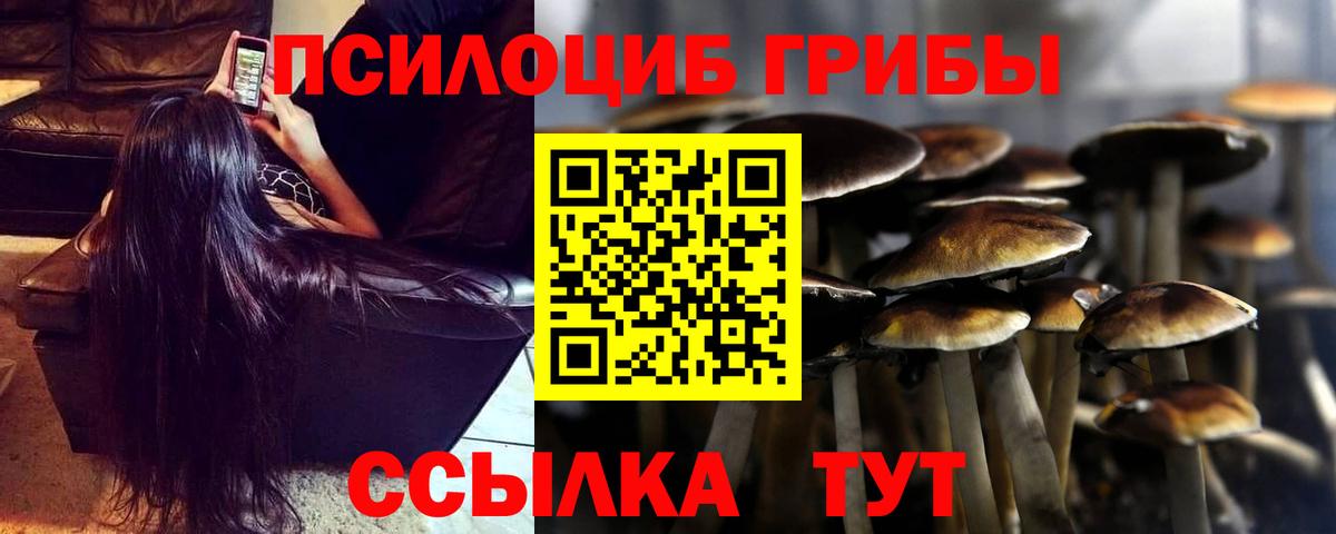 Галлюциногенные грибы MAGIC MUSHROOMS Октябрьский